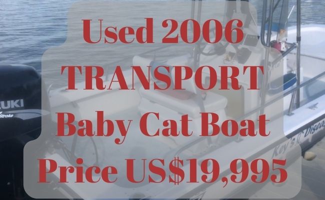 Baby Cat Boat for Sale