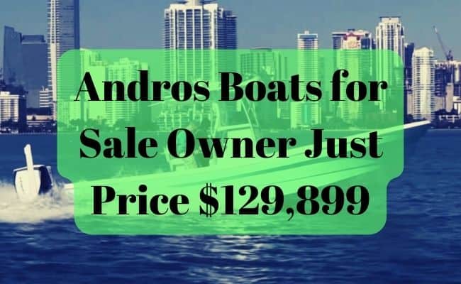 Andros Boats for Sale