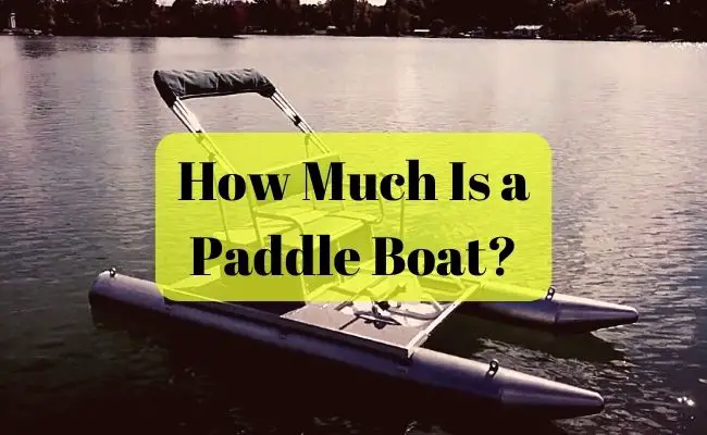 How Much Is a Paddle Boat
