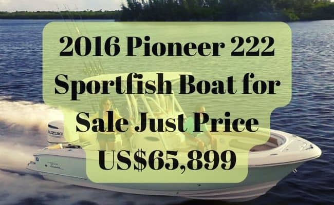 Pioneer Boats for Sale