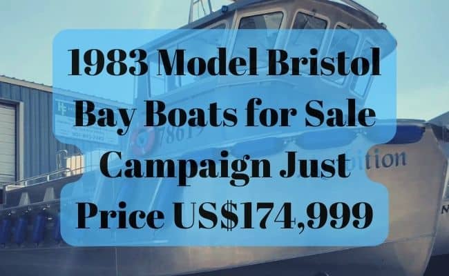 Bristol Bay Boats for Sale