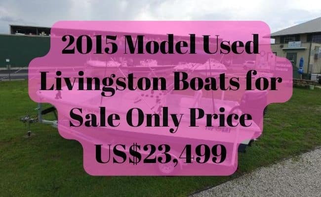 Livingston Boats for Sale