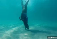Watch a Four-Legged Team Help Clean the Ocean