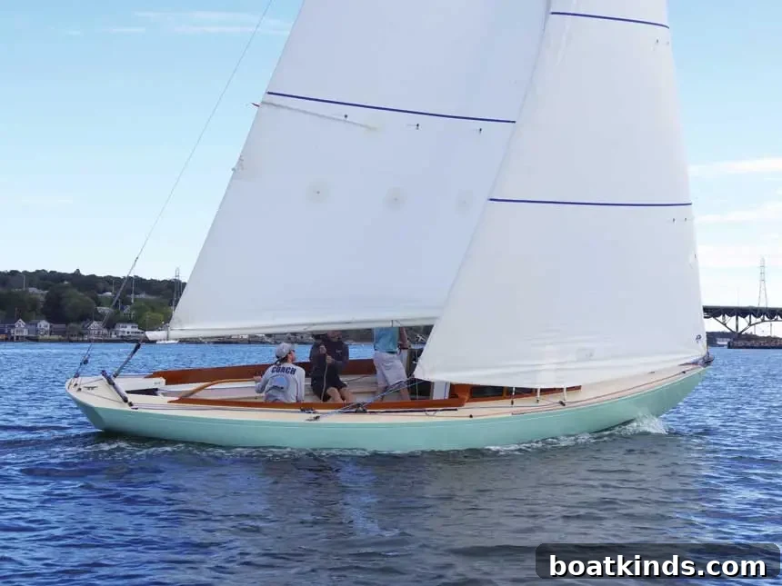 Vela on the water