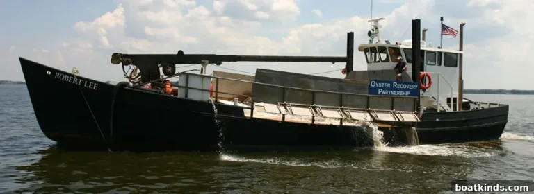 10 Billion Oysters: Restoring Coastal Ecosystems