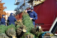 Rouse Simmons: The Christmas Tree Ship Sinking Explained
