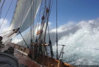 Tally Ho! Embark on an Exciting Adventure