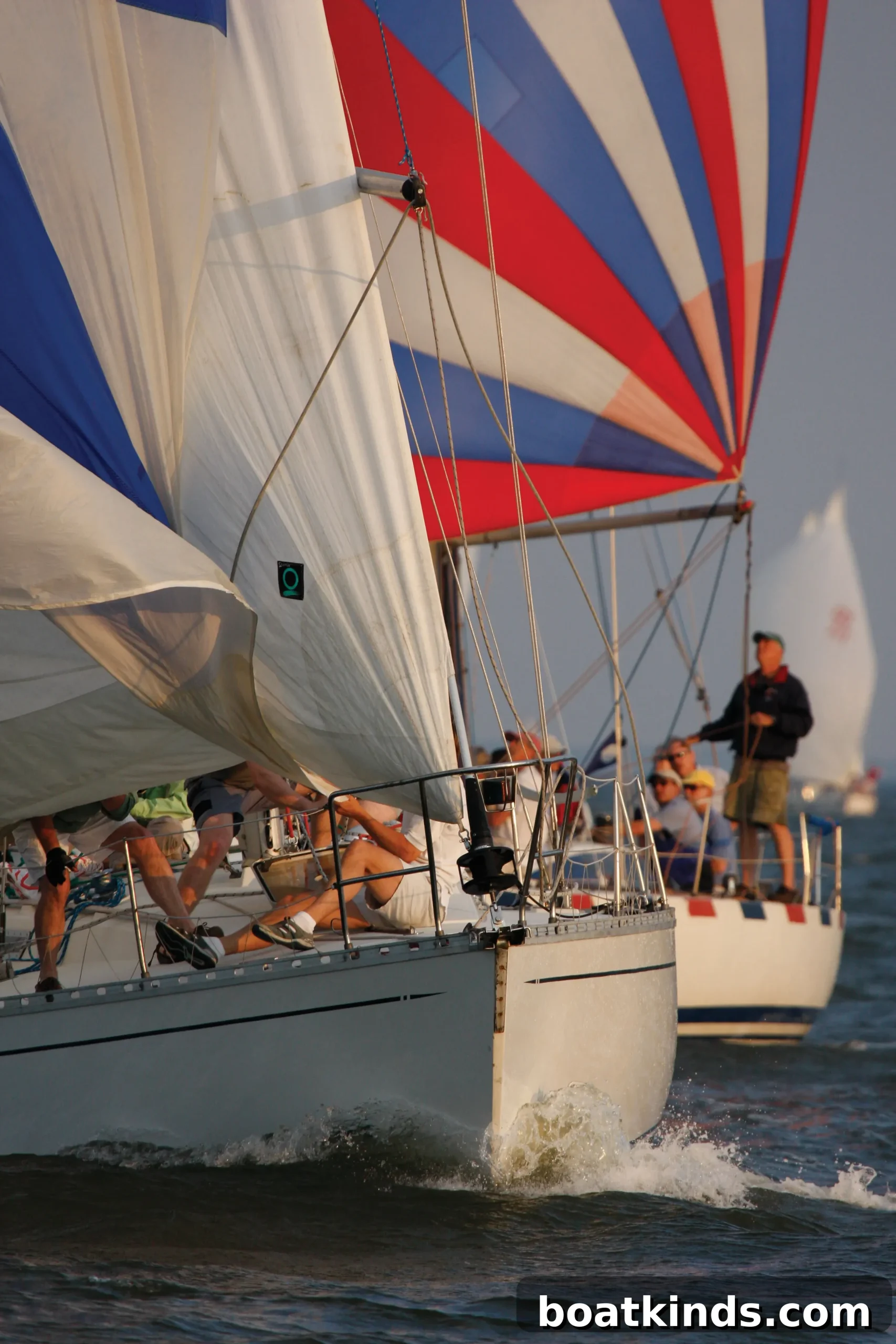 Fleet racing in the Leukemia Cup Regatta