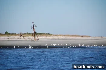 img 15617 2