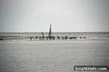 img 15617 4