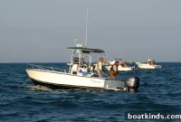 How to Chum for Fish: Proven Chumming Techniques