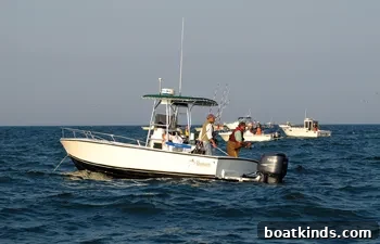 img 16373 1