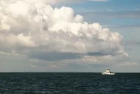 Tuna Trolling: Offshore Fishing Along the Ocean Edge