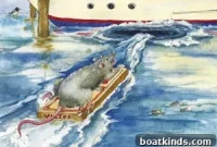 What Do They Know About Deception on Board?