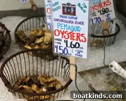 Portland Old Port oysters