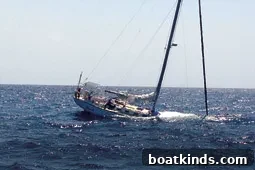 img 18568 6