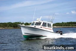 img 18596 4