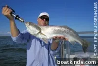 Chesapeake Bay Fishing: Speckled Trout, Drum, Rockfish & Croaker