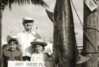 Marlin Fishing Guide: Tactics, Gear, and Top Hotspots