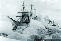 Bear Aboard a Barquentine: An Unlikely Shipmate