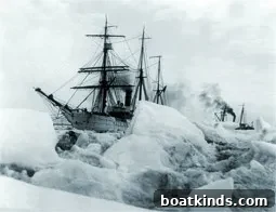 img 19645 1