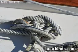 img 19944 4