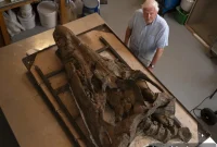 Deep-Sea Monster Emerges from the Abyss