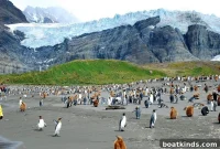 Drifting Ice Island: How a Giant Iceberg Forms and Moves