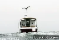 Stowaway: True Stories, Risks, and Survival