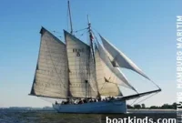 No. 5 Elbe Returns Home After a Lifetime Away