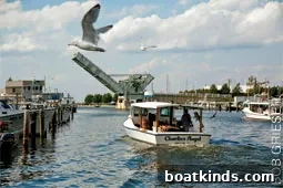 img 23931 2