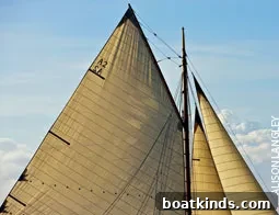 img 24685 1