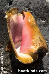 img 24889 4