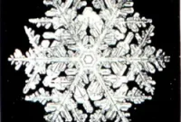 How Snowflakes Form: The Science Behind Snow Crystals