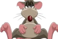 Rats Aboard: Prevent Infestations on Your Boat