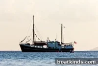 Wanderbird: Western North Atlantic Birding and Wildlife