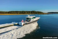 Day Trips and Adventures Near You