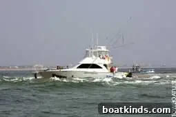 img 26659 1