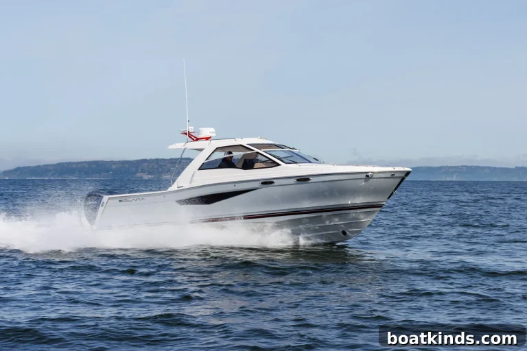 Solara S-310 SC Review: Features, Specs & Value