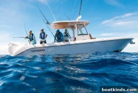 Newport International Boat Show Kicks Off Today