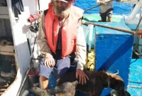 Sea Survival: A Sailor and His Loyal Dog