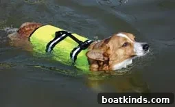 Dog reboarding a boat