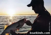 Keep Your Lures Ready for a Great Day of Fishing