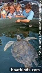 Marathon, Florida Travel Guide: Beaches & Attractions 3 img 33764 2