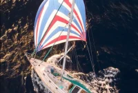 Whale Strike Forces Sailboat Crew Into Liferaft