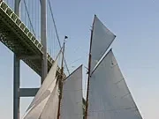 Sail Scene November 2008: Sailing Highlights and Events