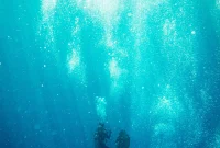 Divers Explore Sunken Slave Ships to Uncover Hidden Histories