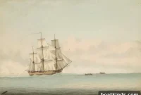 How Shipworms Devoured Captain Cook’s Ship