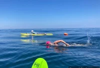 Woman Swimming From Block Island to Montauk Encounters Shark