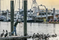How the American South Took Shape